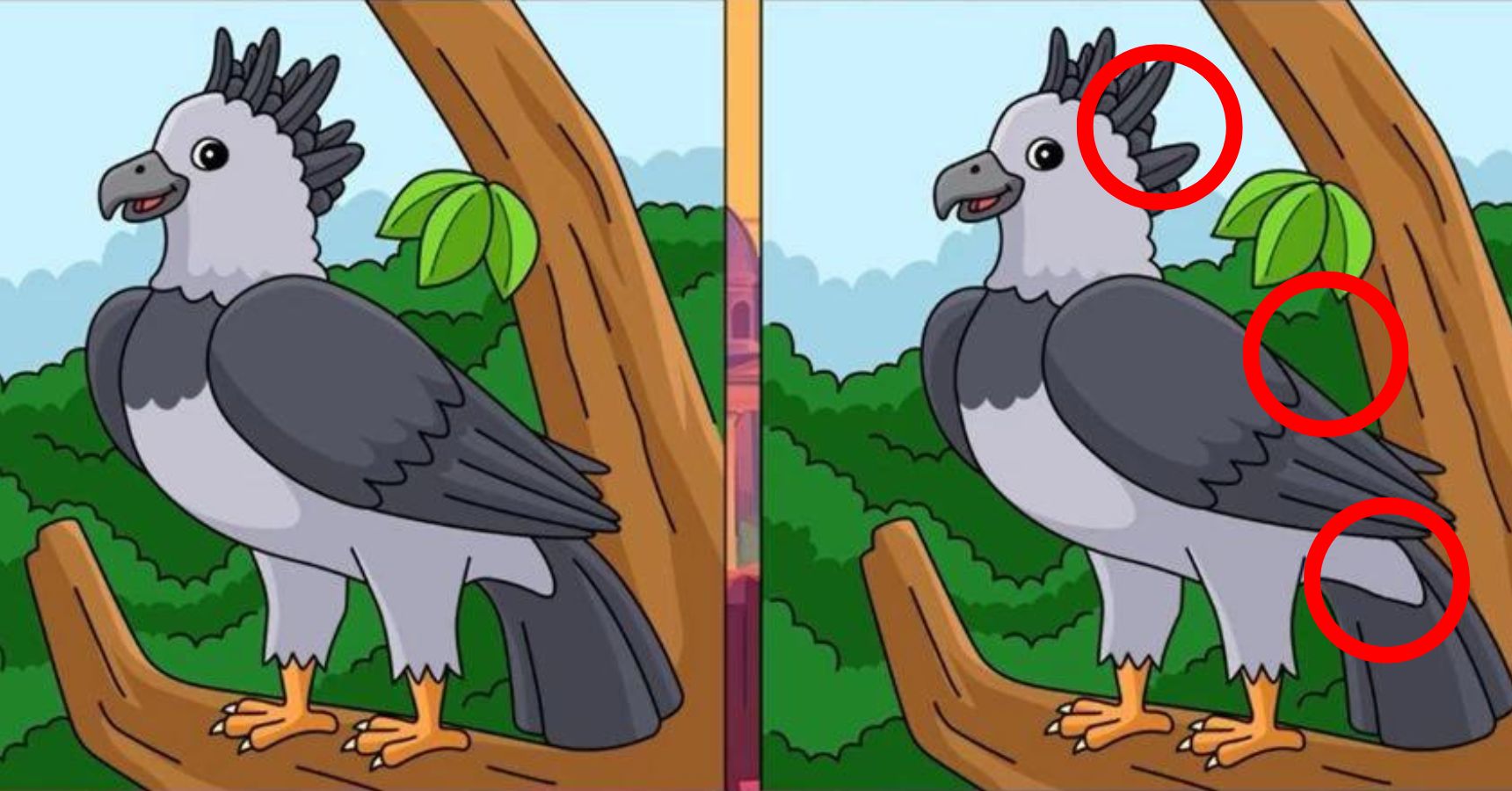 Brain Teaser Find the difference in the picture within 10 seconds 