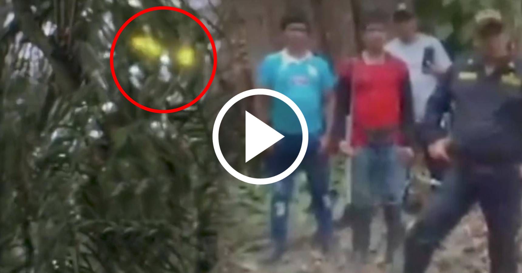 Aliens are found here, Viral Video