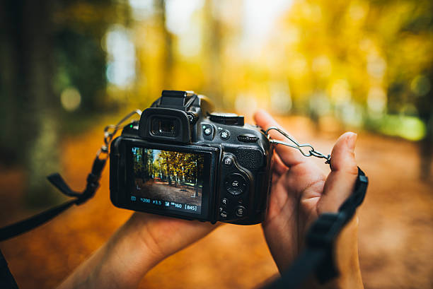 camera capturing a forest