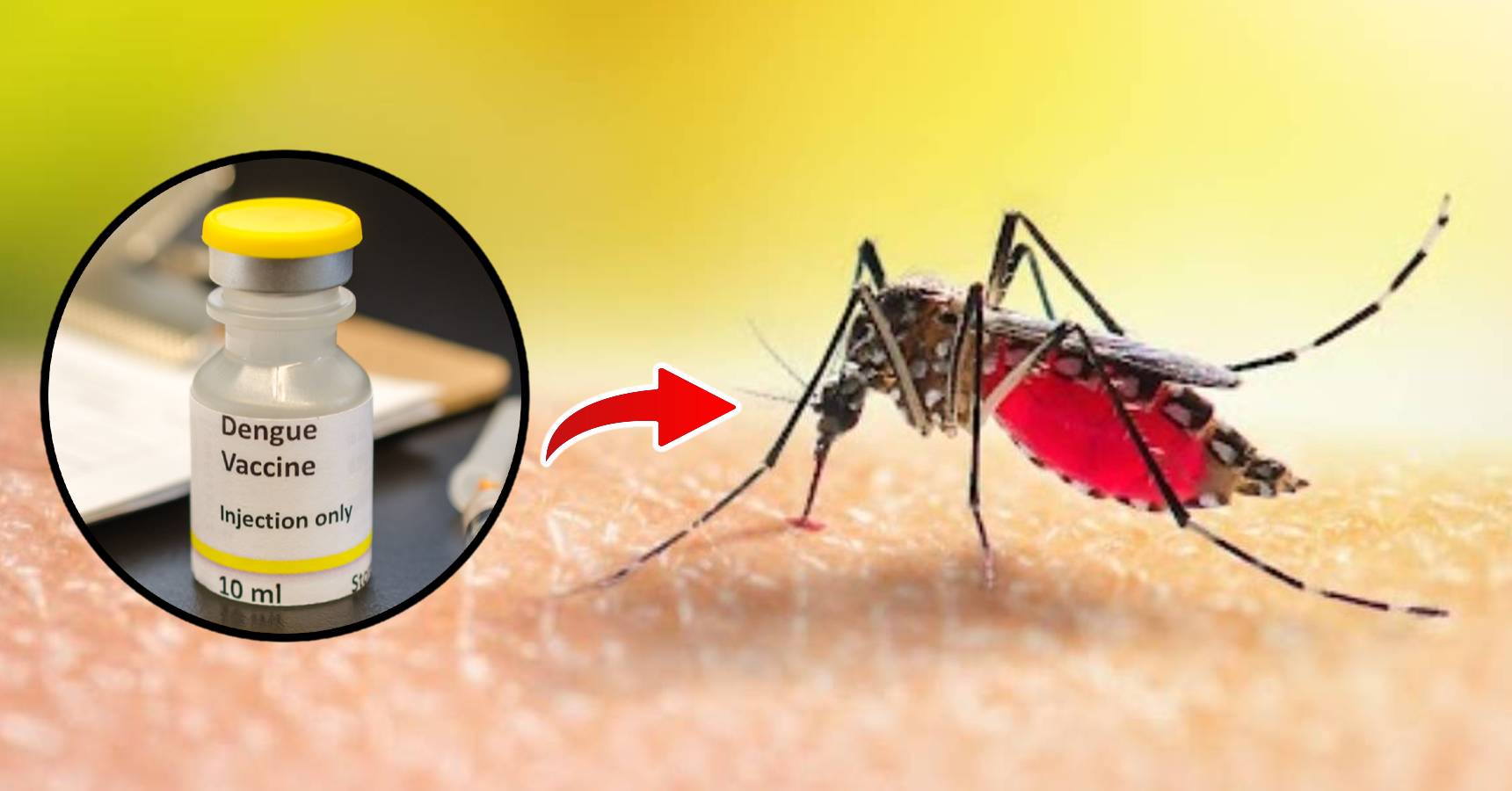 Dengue vaccine is about to come to India