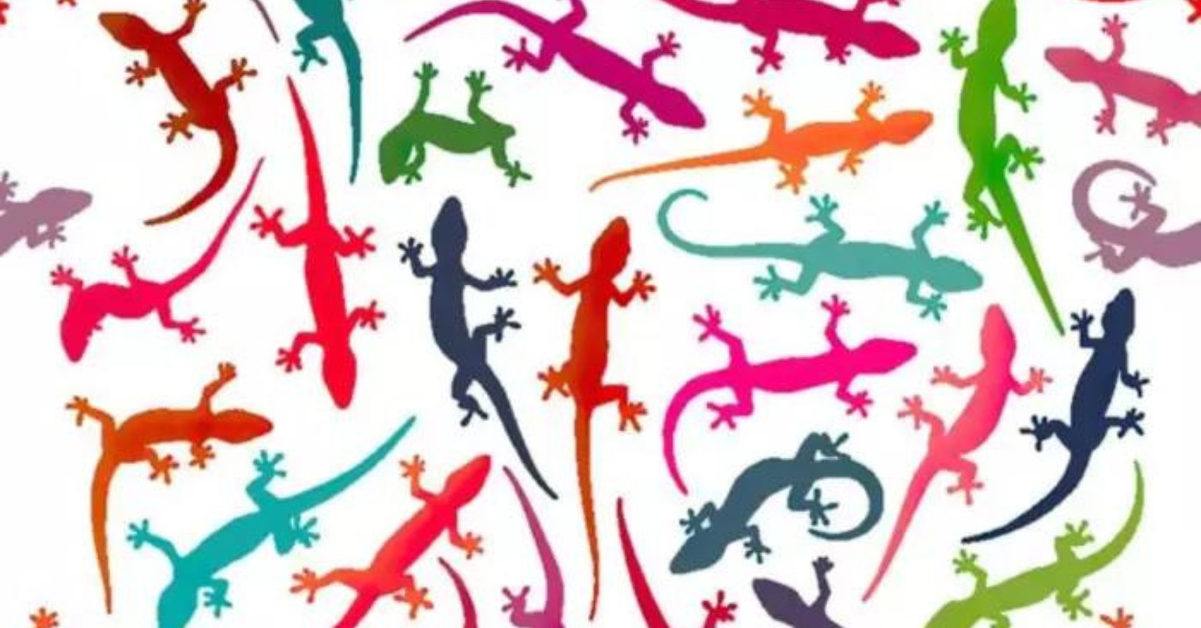 Brain Teaser Find the tailless lizard in 8 seconds