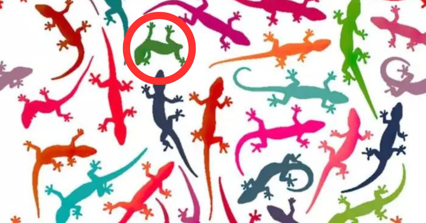 Brain Teaser Find the tailless lizard in 8 seconds 