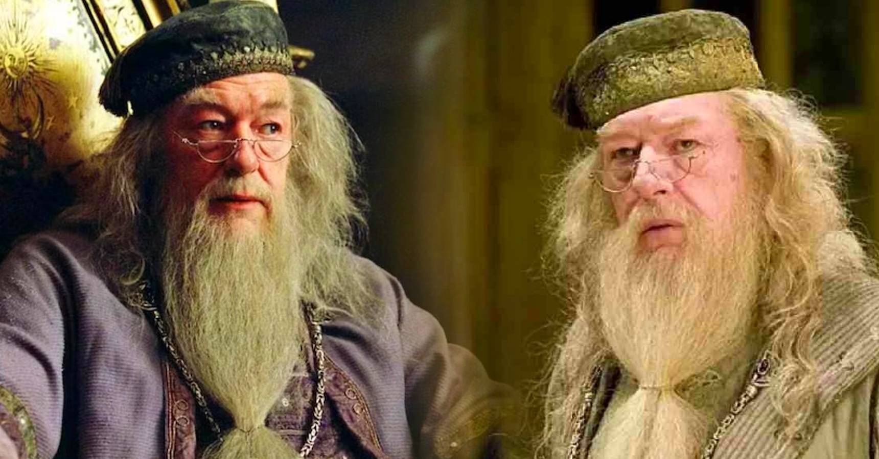 harry potter dumbledore michael gambon