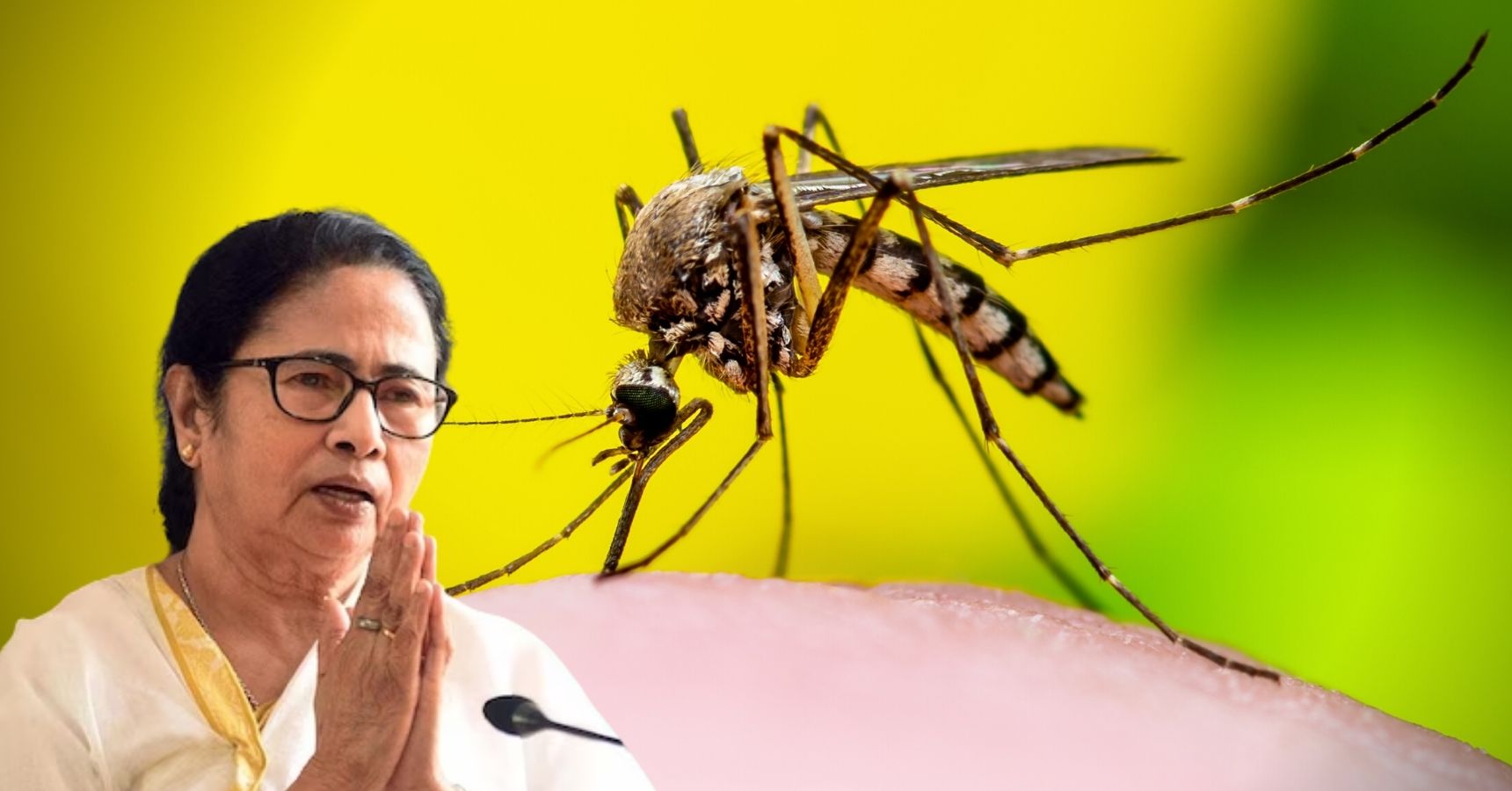 mamta dengue