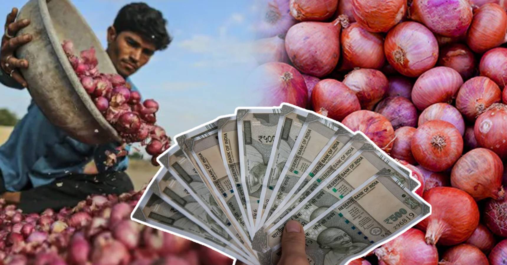 The price of onion increases gradually