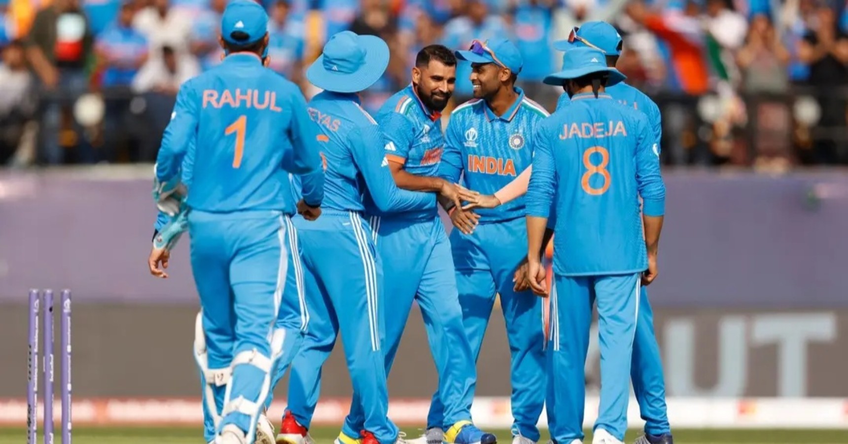 shami back team india