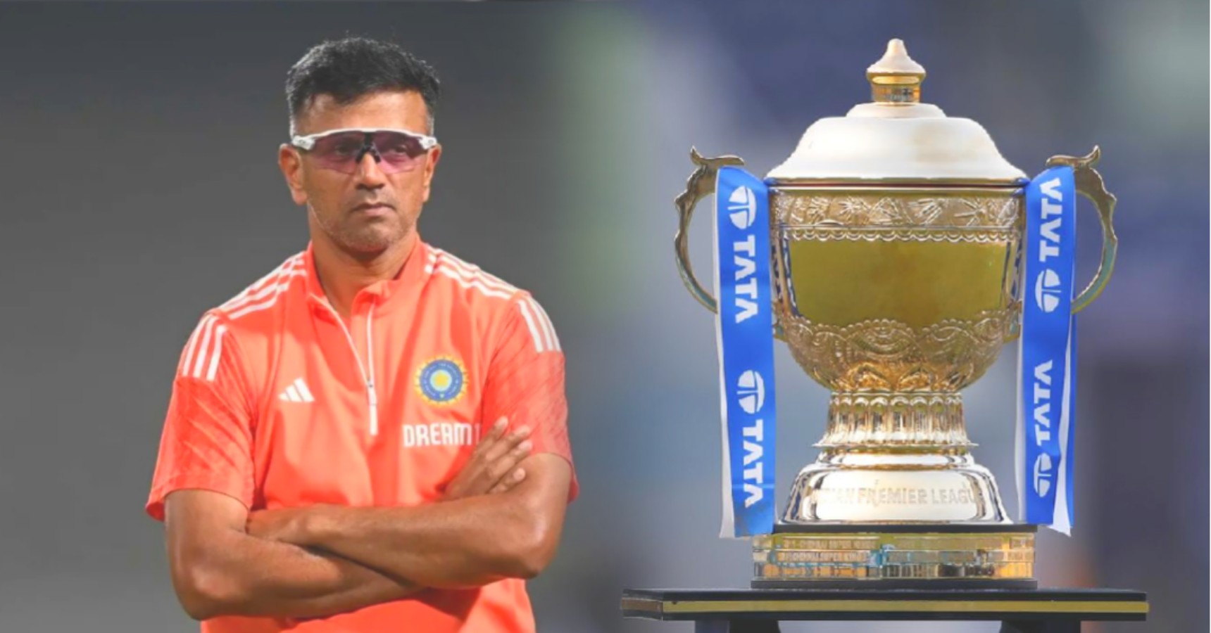 dravid ipl