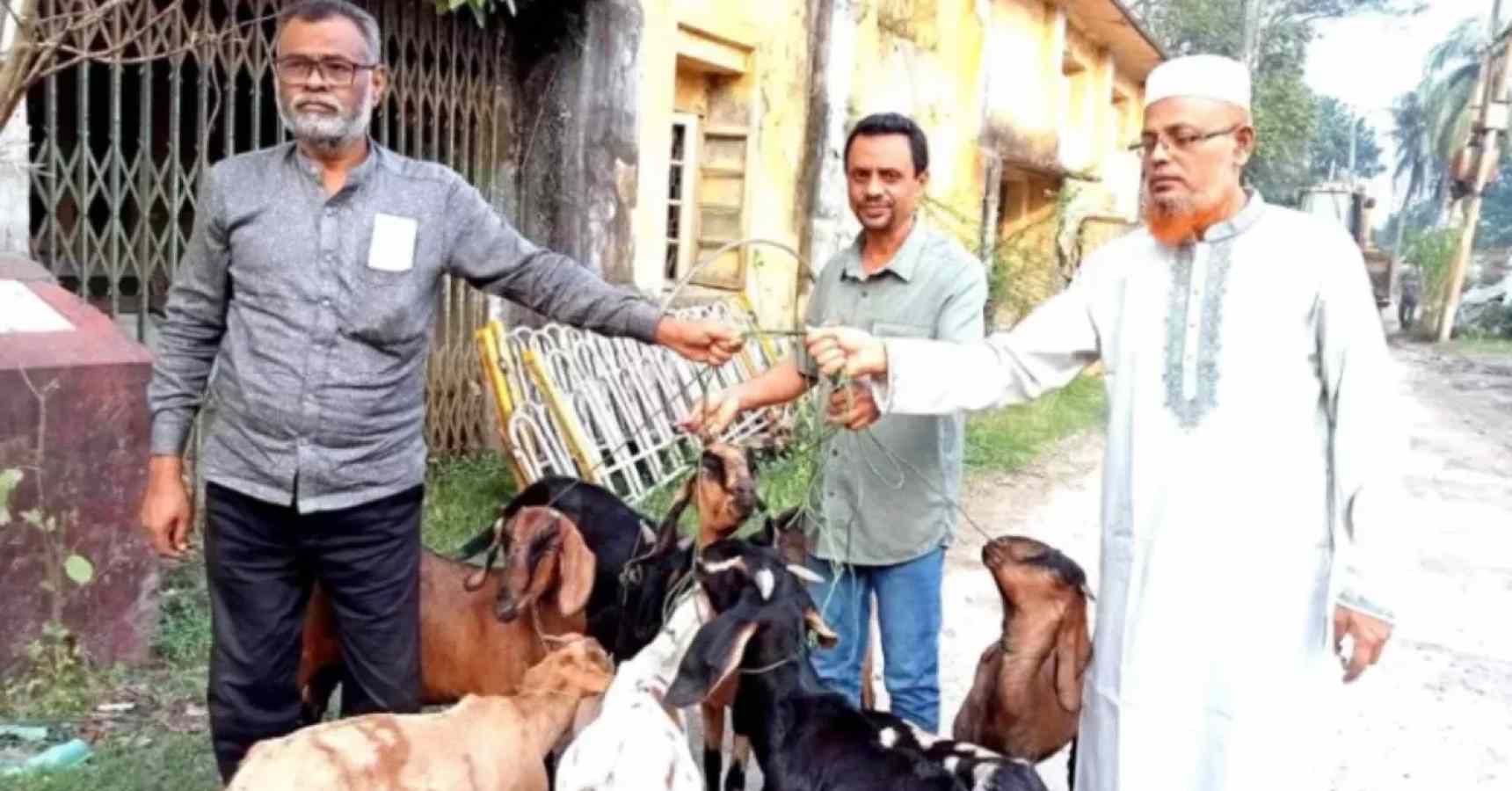 9 goats were jailed for 1 year