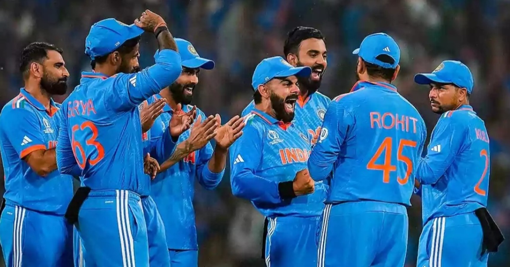 happy team india wc