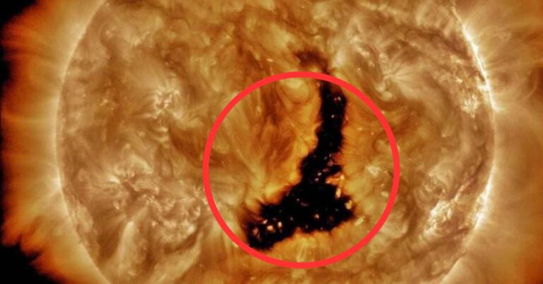 Scientists have found 60 large holes in the Sun like Earth