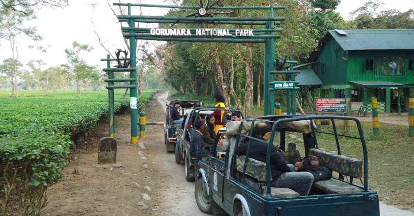 Jungle Safari is closed in Gorumara 