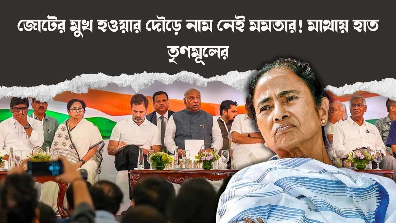 mamata Banerjee