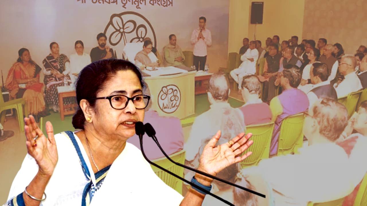 mamata tmc