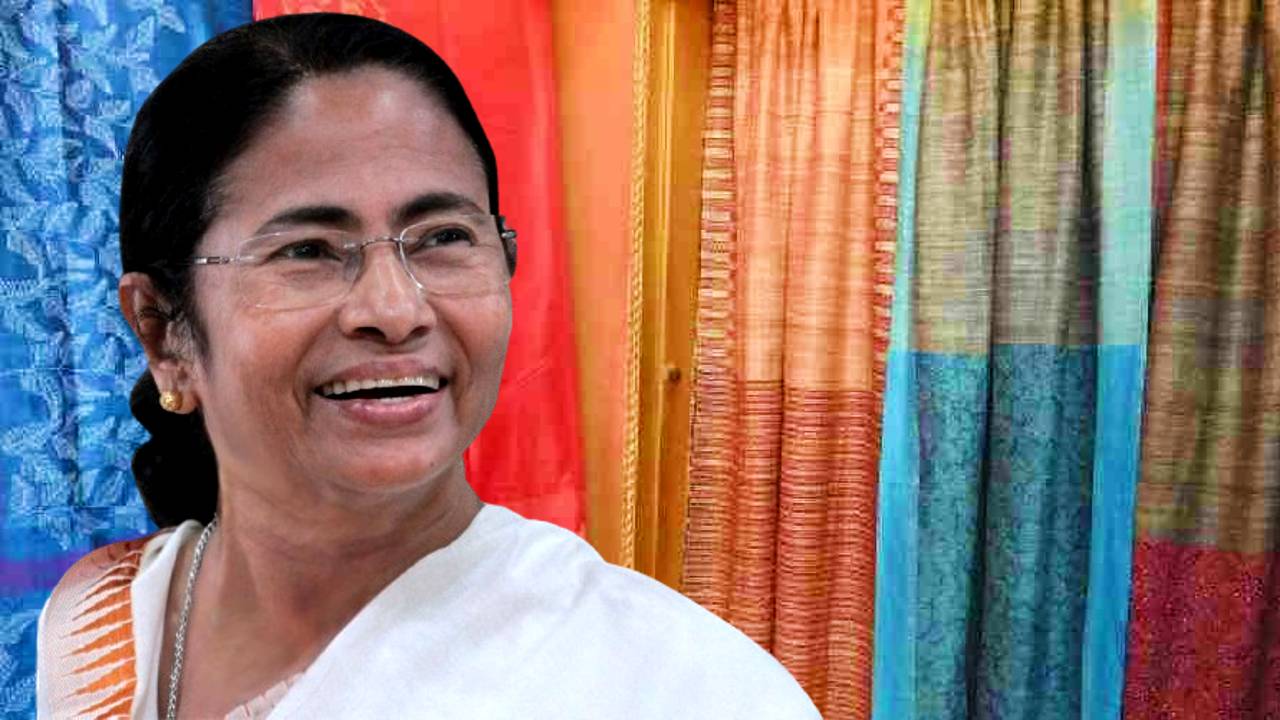 mamata saree