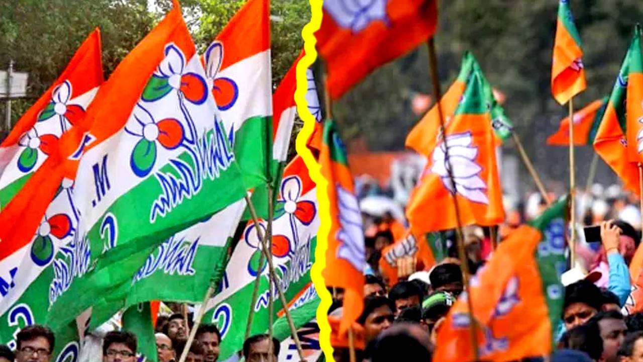 Bengal By Polls tmc and bjp flags