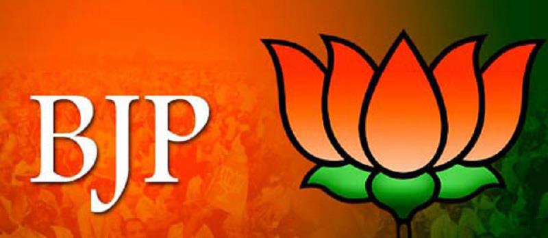 bjp 11