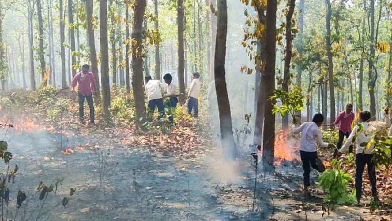 School students rushed to extinguish the fire in the forest of Bankura.