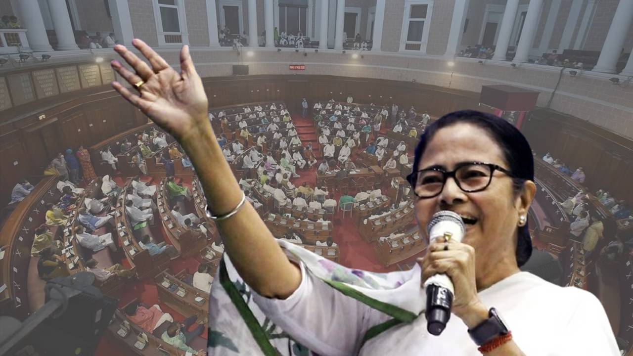 mamata assembly