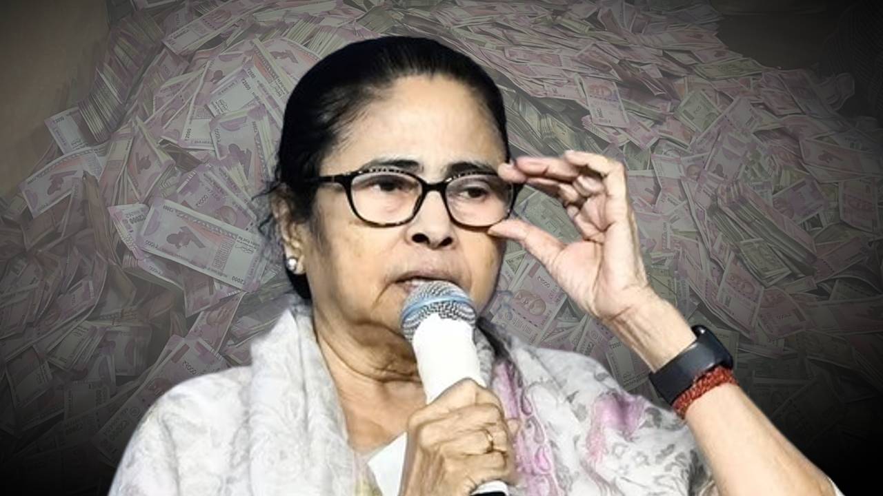 mamata mn