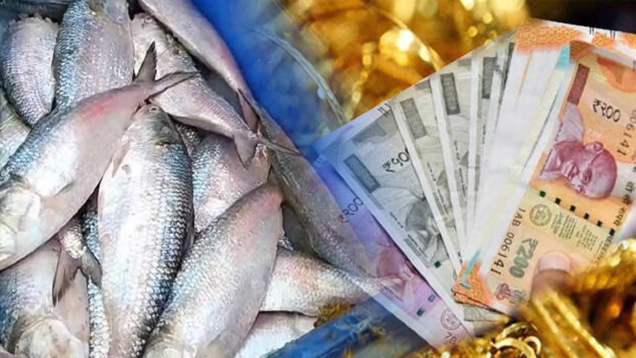 Ilish Price