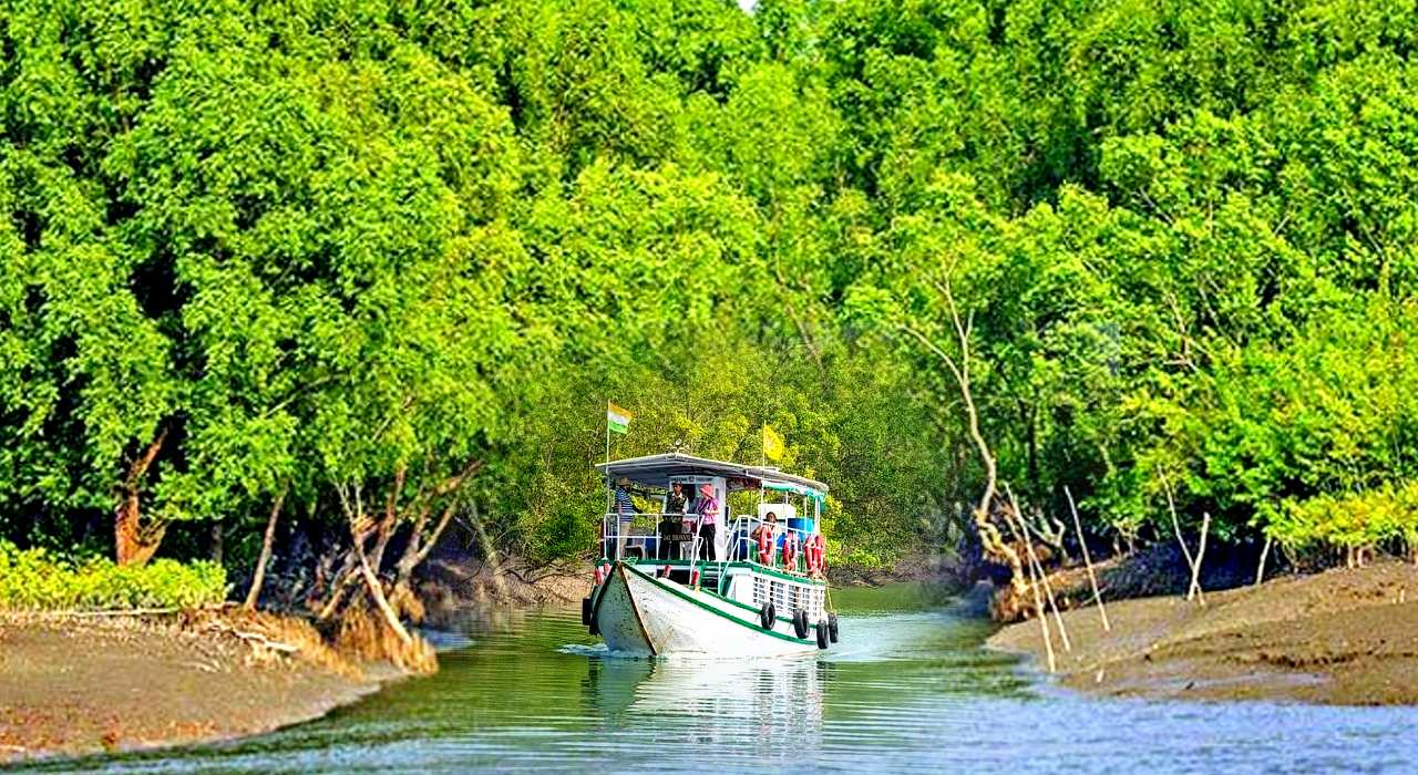 Sundarban