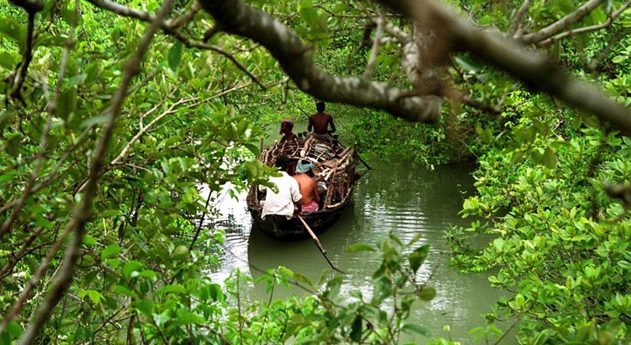 Sundarban