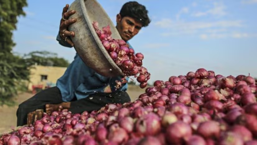 The government took a big step for onions.