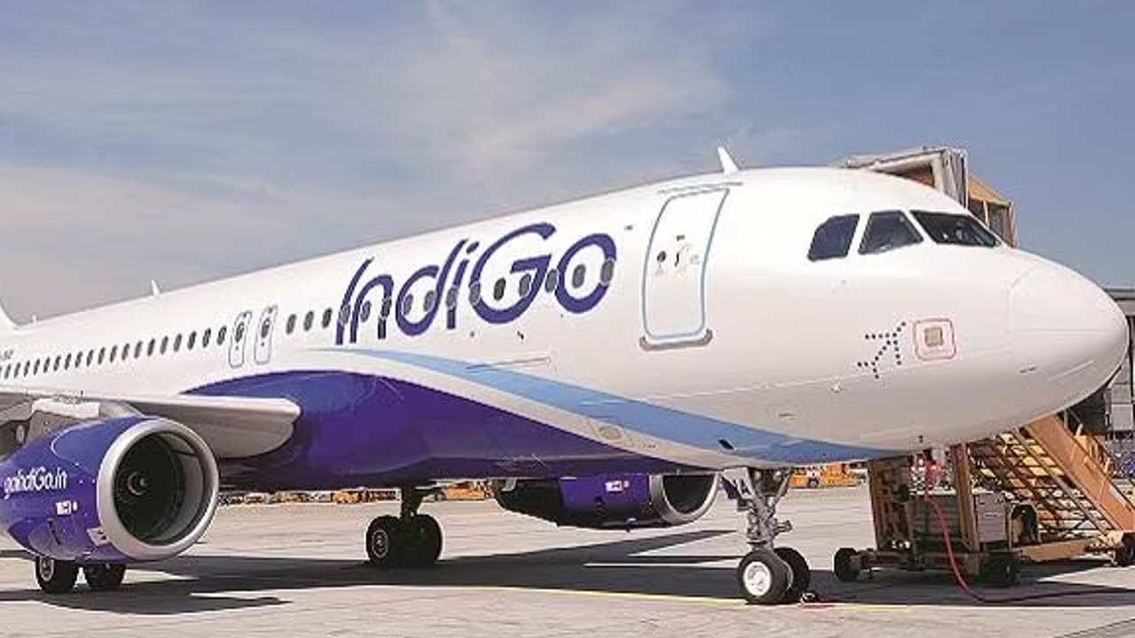 indigo 3