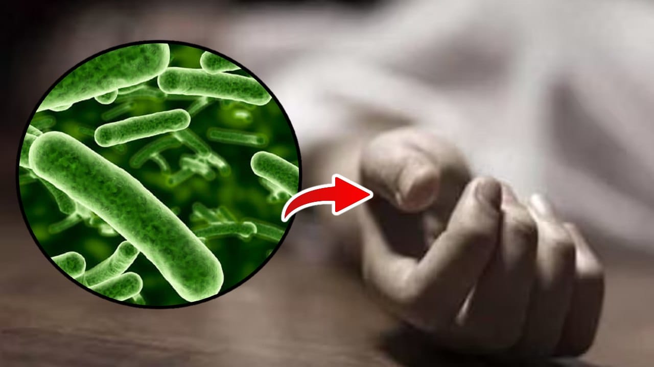 Flesh eating bacteria is causing great danger.