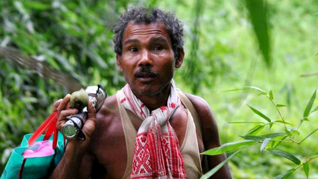 The Forest Man