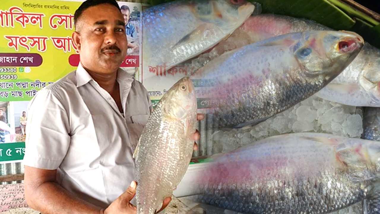 Hilsa 1