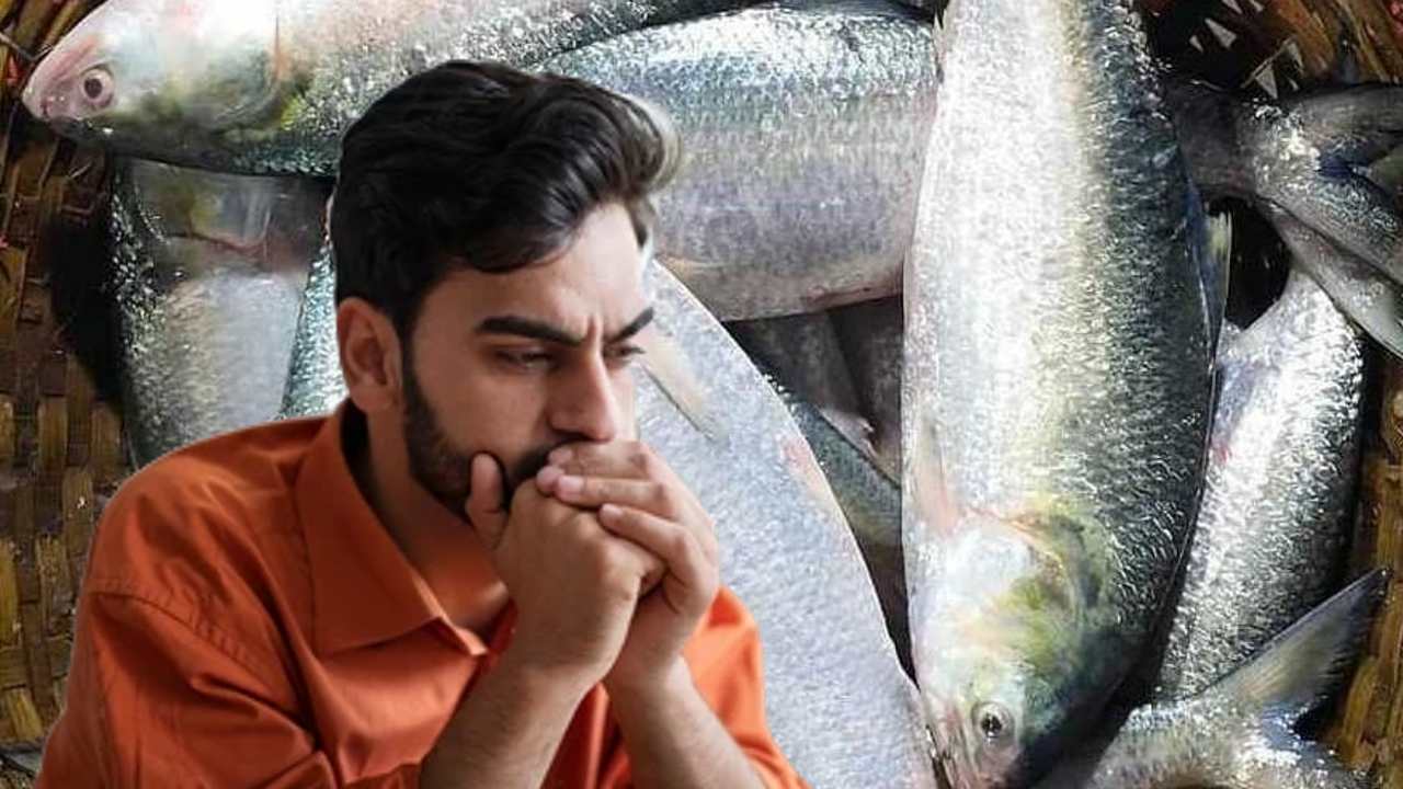 Hilsa