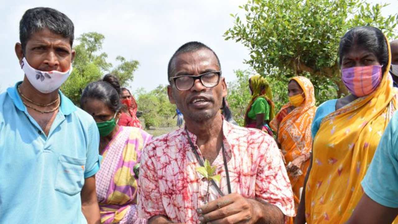 Sundarban 1