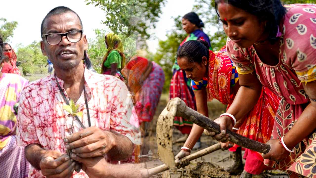 Sundarban