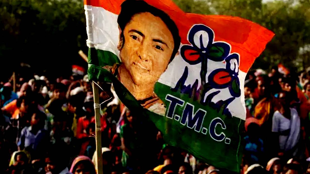 Trinamool Congress TMC flag