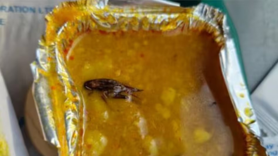 Dead Cockroach floating in Vande Bharat's food.