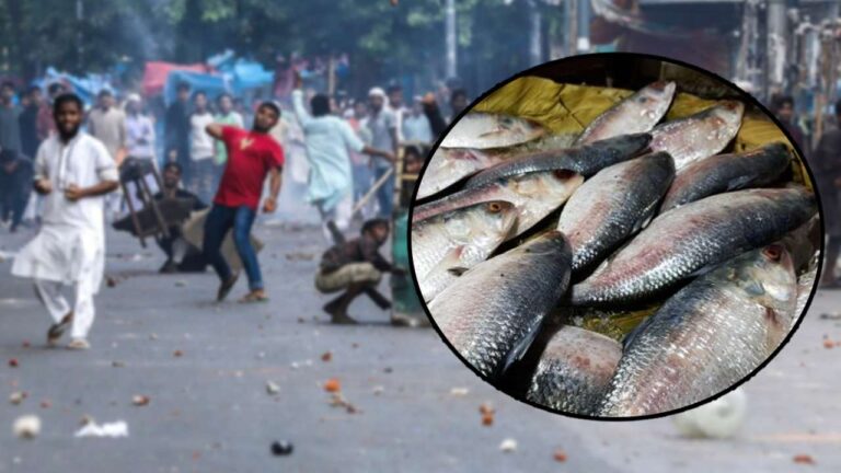 Import of fish from Bangladesh to the state is stopped.