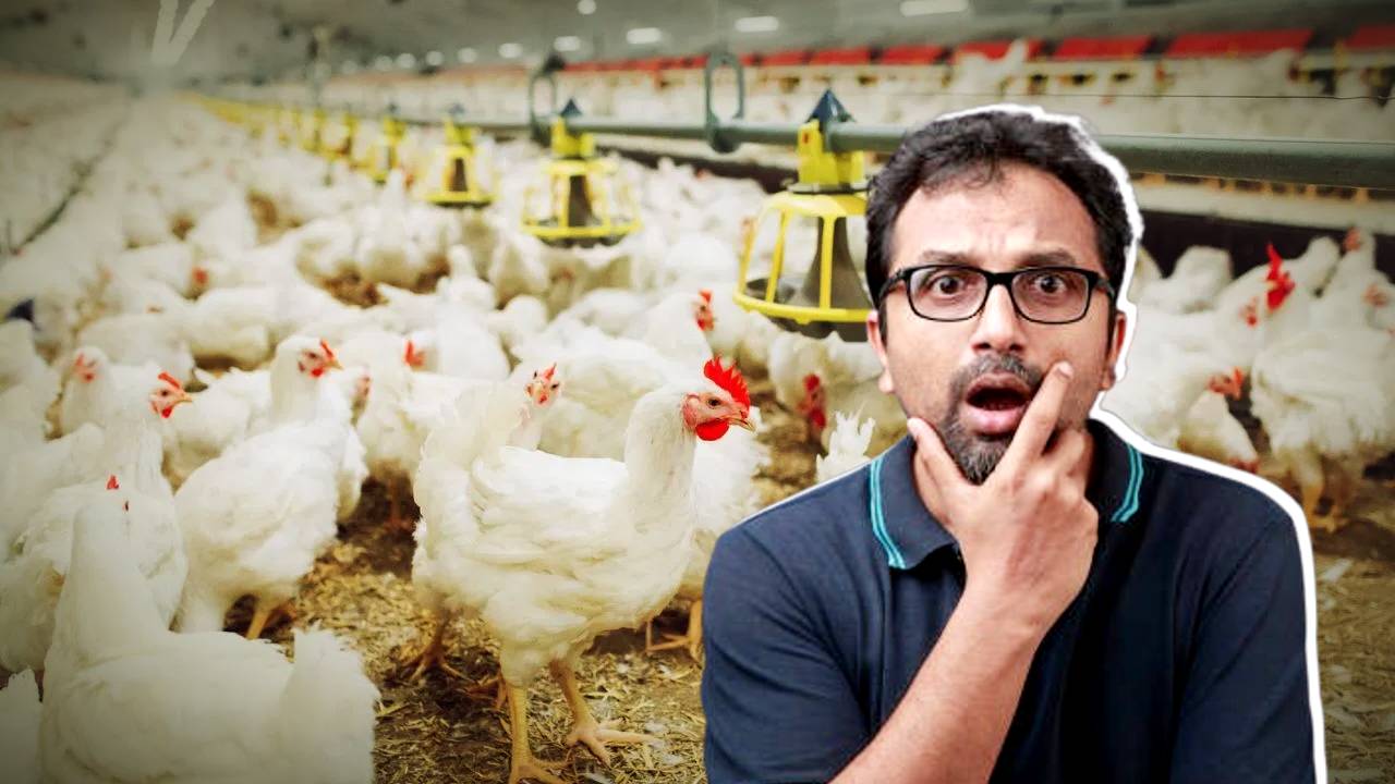 West Bengal chicken supply disrupted