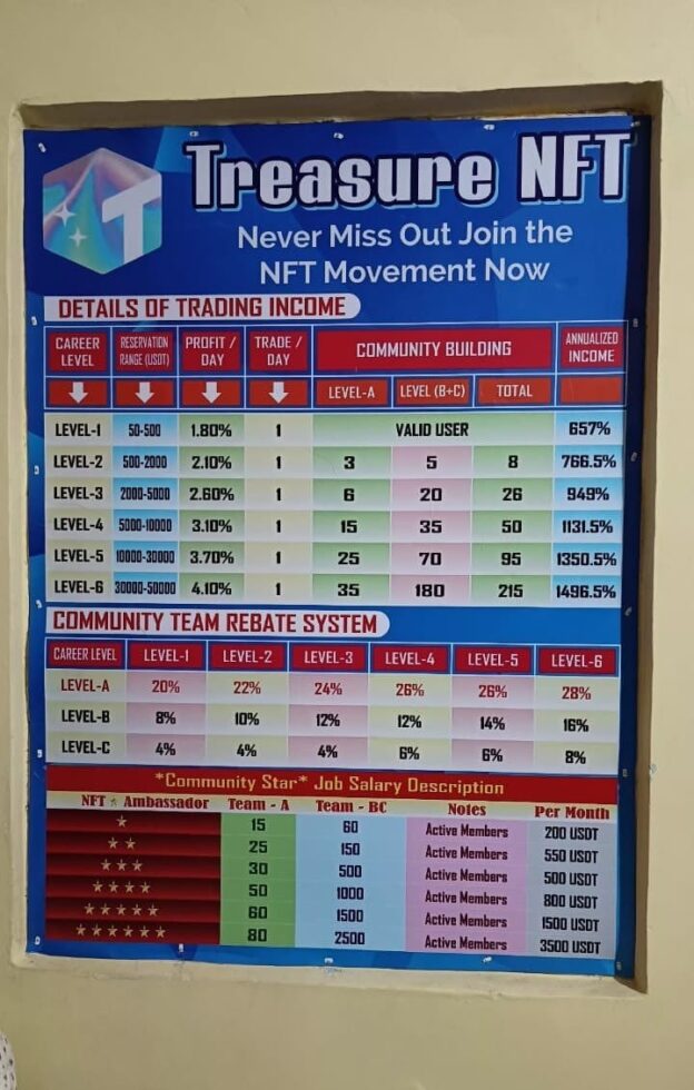 This is how you can profit through TreasureNFT Business School.