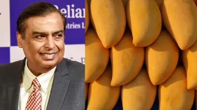 Mukesh Ambani is making huge profits by growing mangoes.