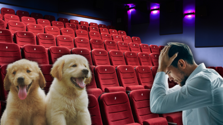 Dogs In Cinema Hall