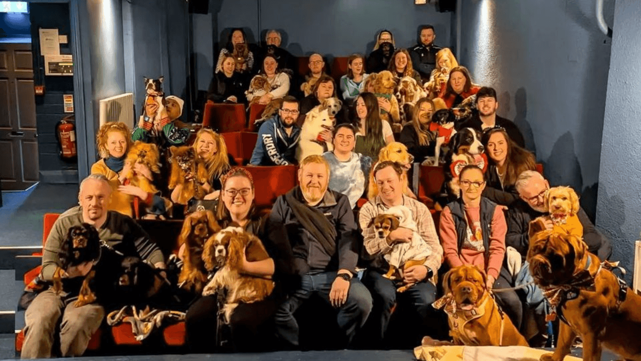 Dogs In Cinema Hall