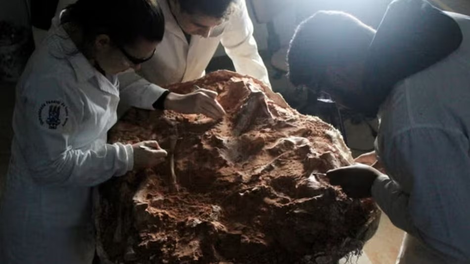  Scientists have discovered the world's oldest dinosaur fossil.