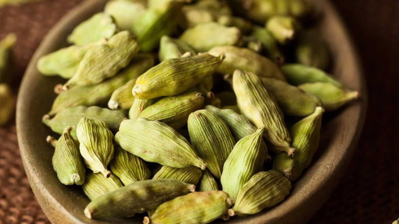 With help of cardamom money flow increase