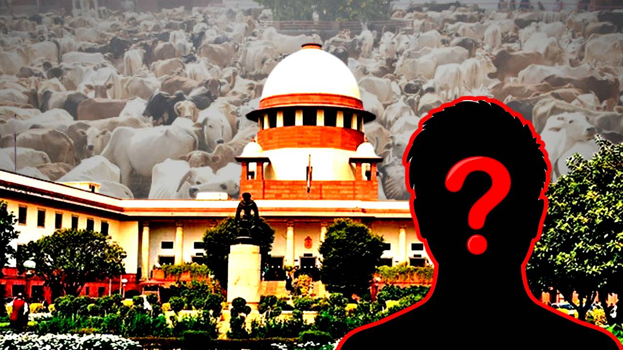 Cattle smuggling case Enamul Haque bail granted by Supreme Court