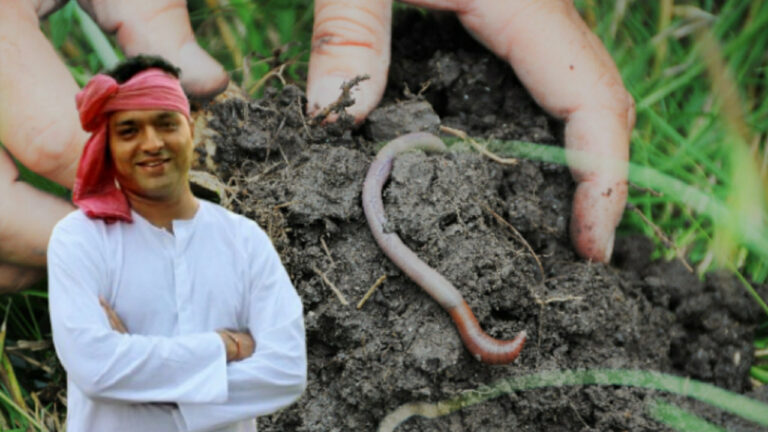 Earthworm 065217