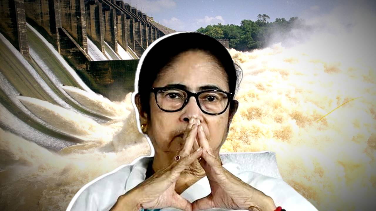 Mamata Banerjee comment on DVC Damodar Valley Corporation