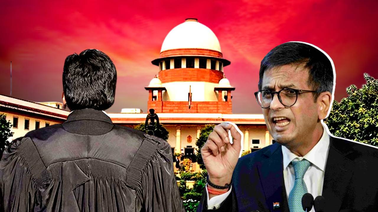 Supreme Court CJI DY Chandrachud got angry with a lawyers choice of words