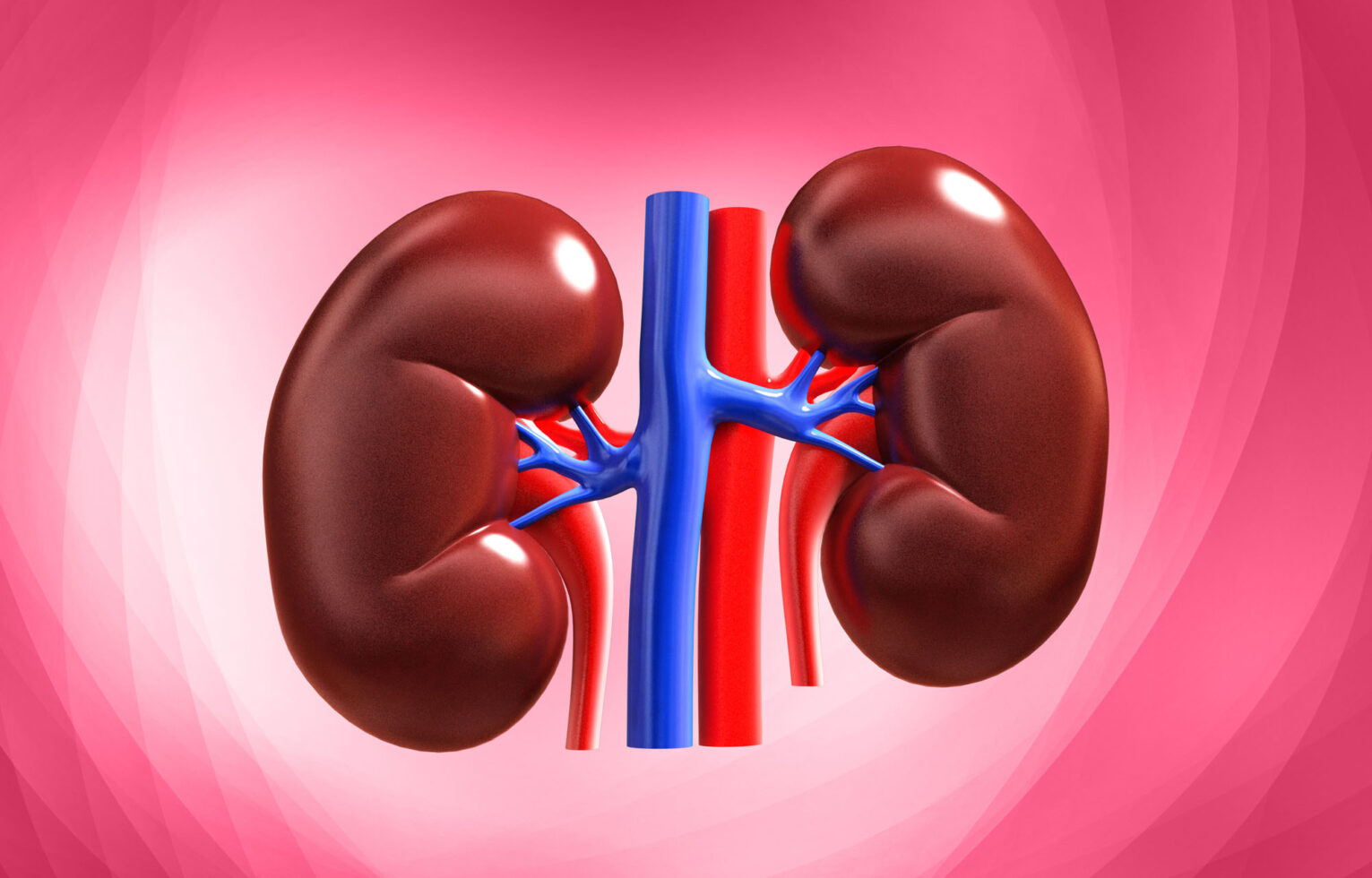 Five symptoms of kidney damage.