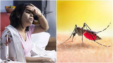 zika virus 111511089